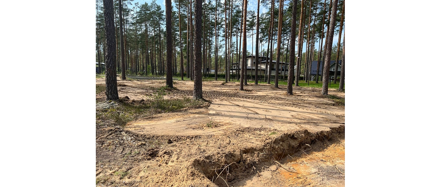 Deforestation services